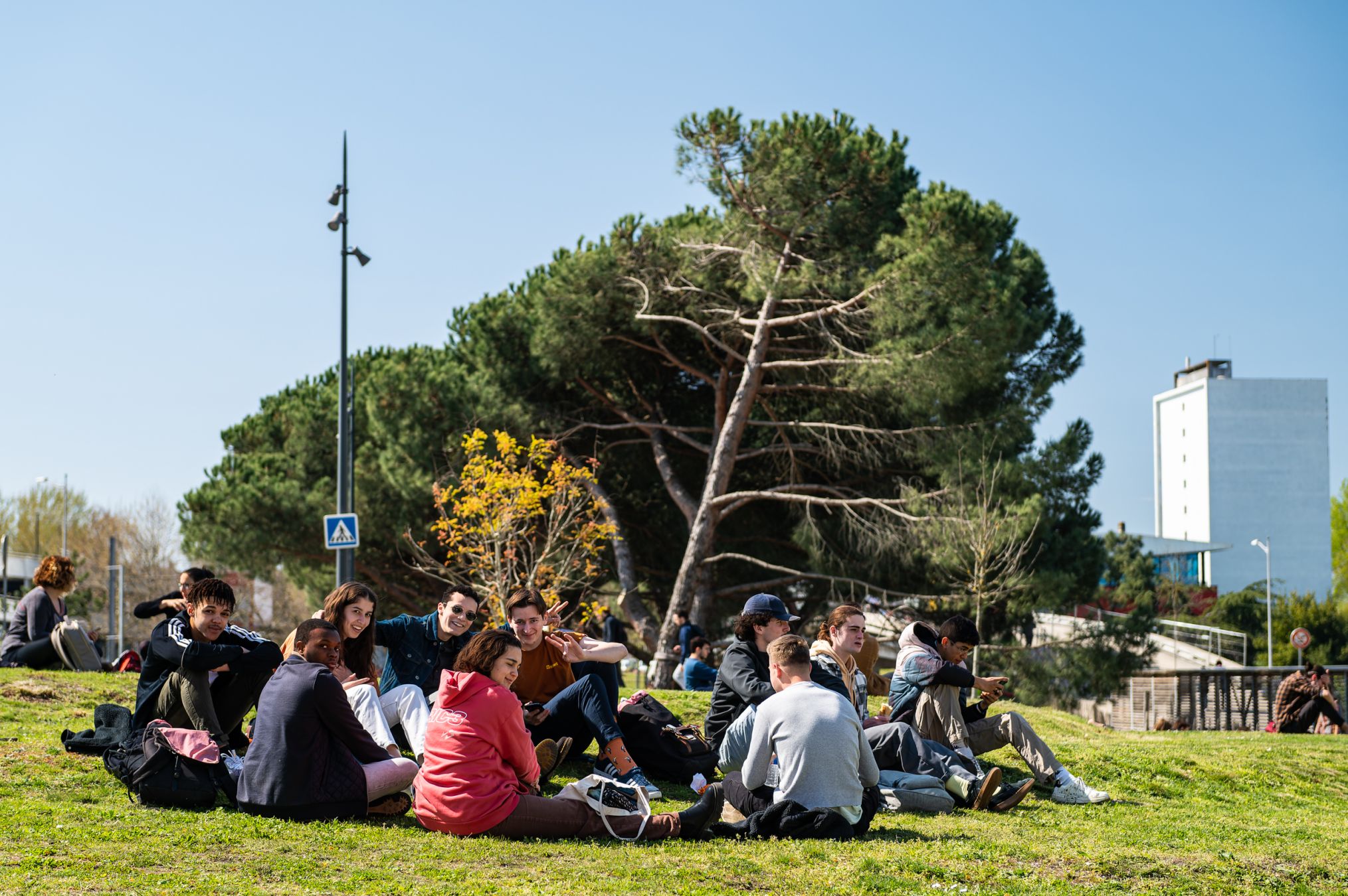 Formations Faculté de Psychologie — free download